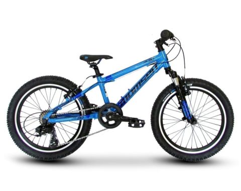Image module